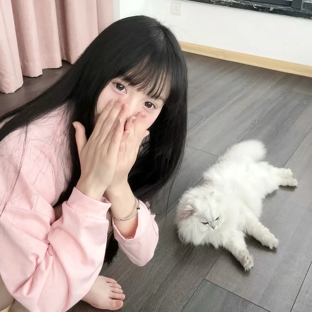 倾城歌手